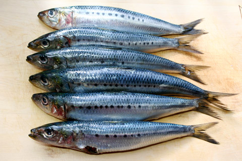 how-to-clean-sardines-1