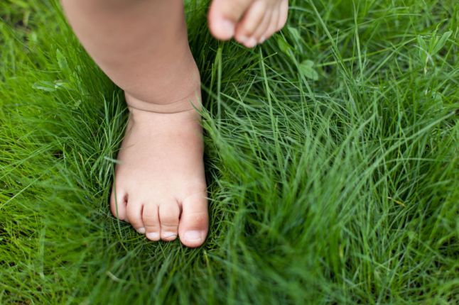 25487575 - small baby feet on the green grass.